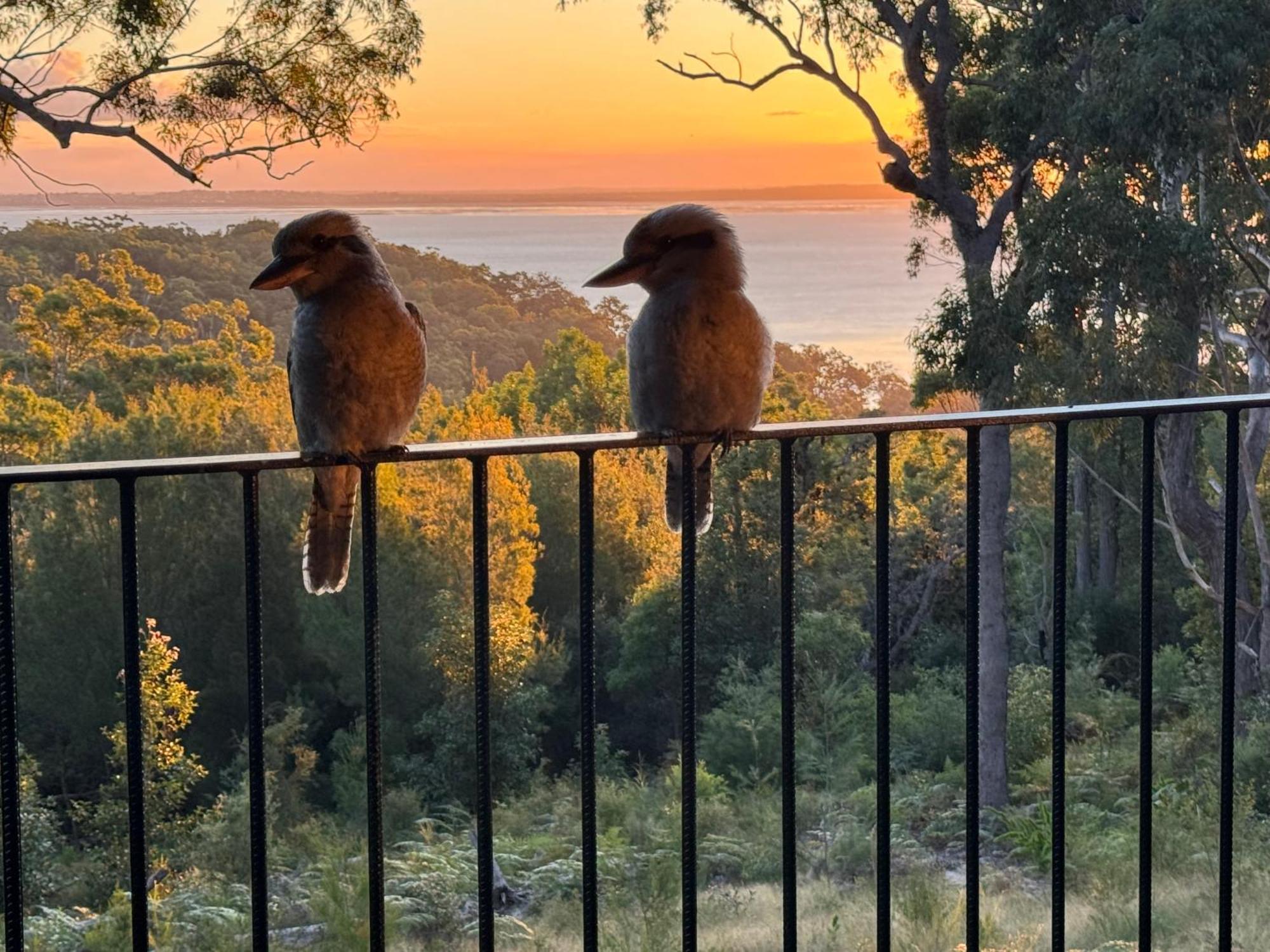 Our Beach House Kingfisherbay Fraser Island Εξωτερικό φωτογραφία